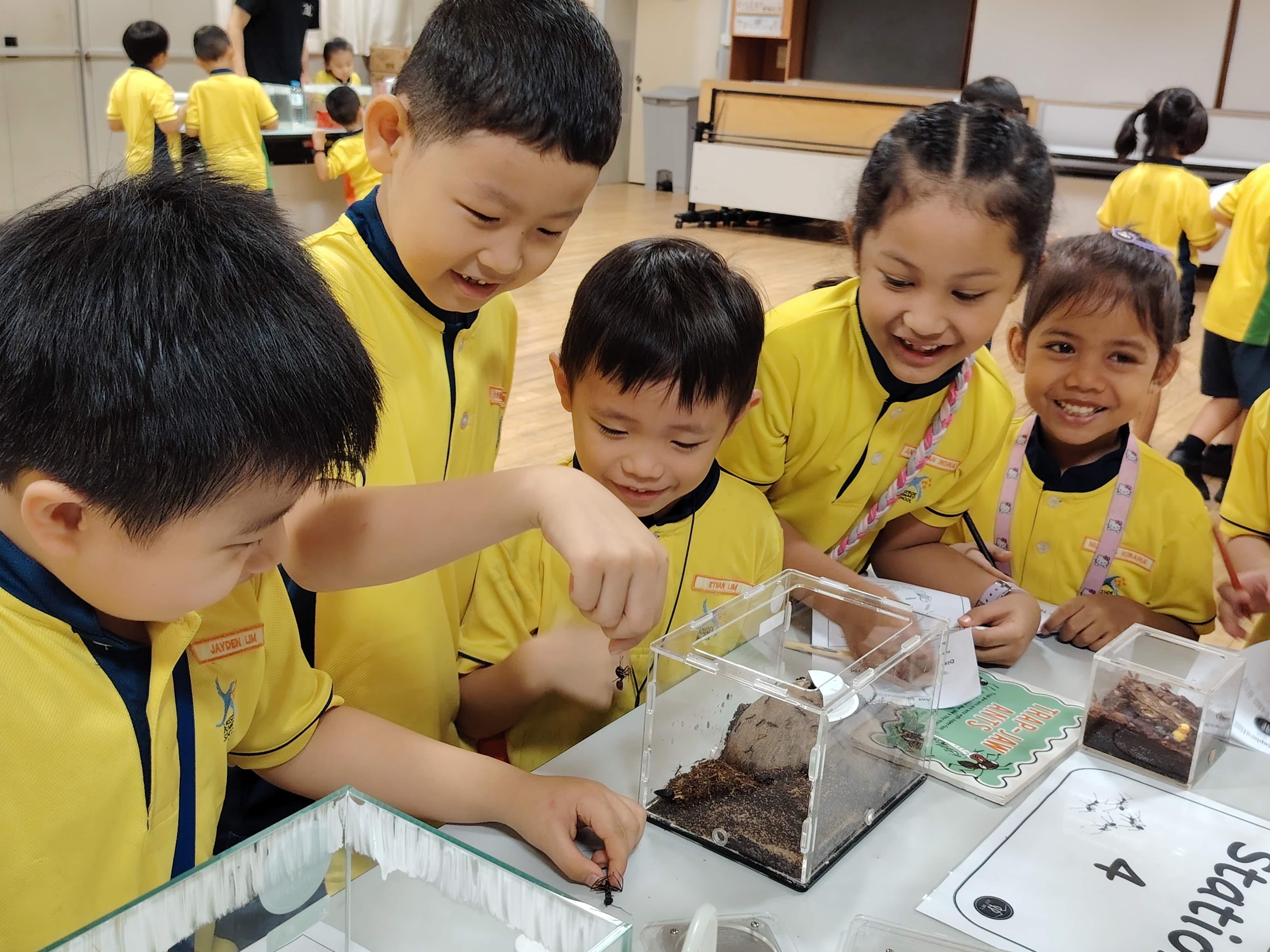 P1 students getting up close with an ant as they learnt more about their habits and life